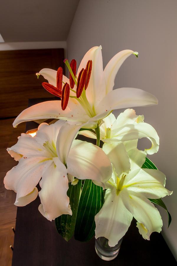 ריבאדאו Hotel Boutique Loriente מראה חיצוני תמונה